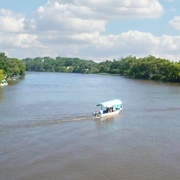 Pasear por el Río La Antigua – VERACRUZ, MARAVILLAS NATURALES